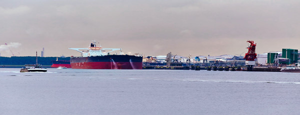 堅果進口報關(guān)代理