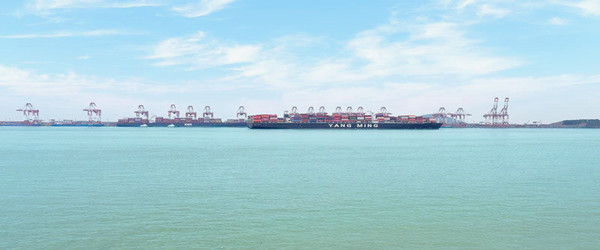 希臘海鮮進口報關(guān)