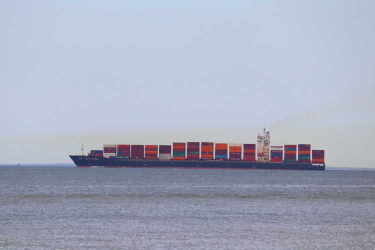 寧波港辣椒進口報關(guān)