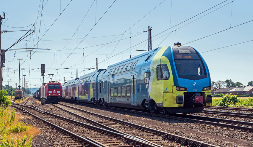 澳門一般貿易進出口服務 澳門一般貿易進出口服務