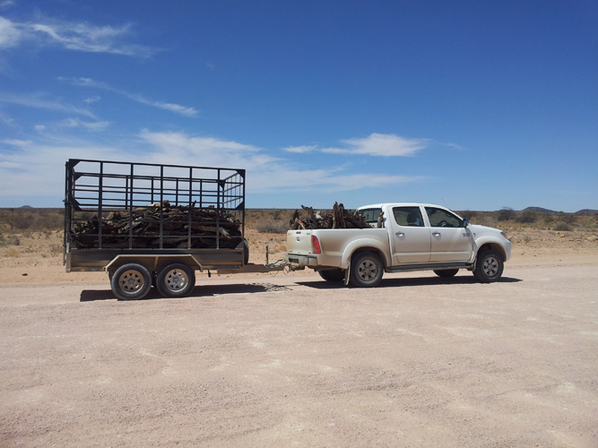 寧波港進口代理報關電話 寧波港進口代理報關電話