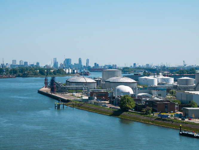 有潛力的上海報關單位