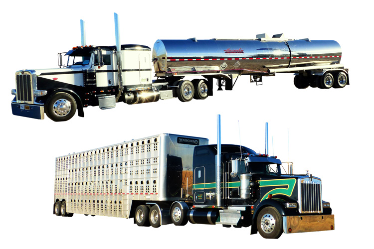 樣品汽車的報關進口 樣品汽車的報關進口