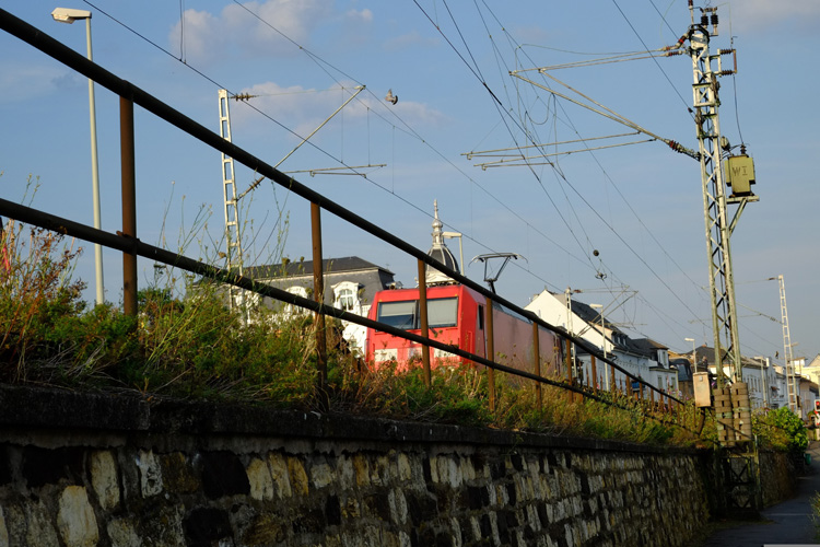 進出口免費是一般貿(mào)易嗎