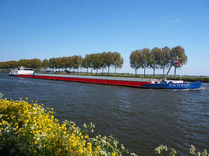 寧波紅茶進口代理報關 寧波紅茶進口代理報關