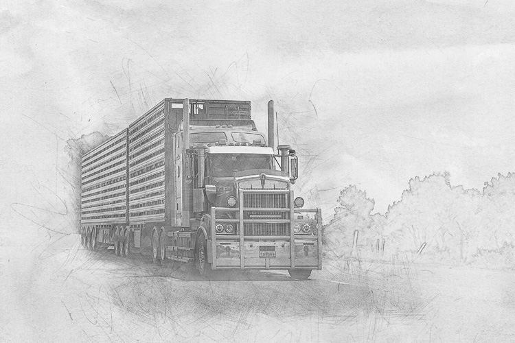 上海報關(guān)管理軟件下載